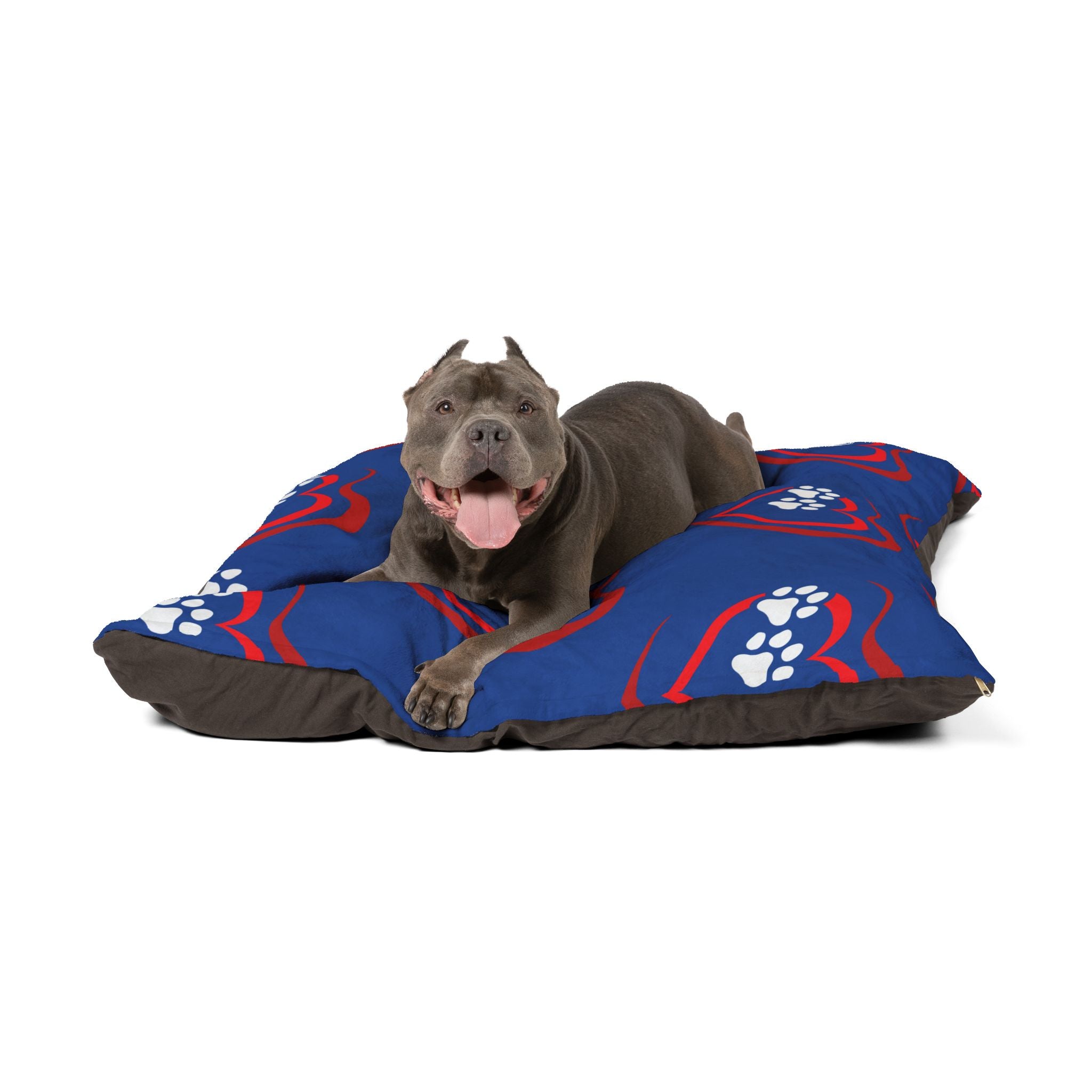Dog lying on a blue and red dog bed with paw prints.