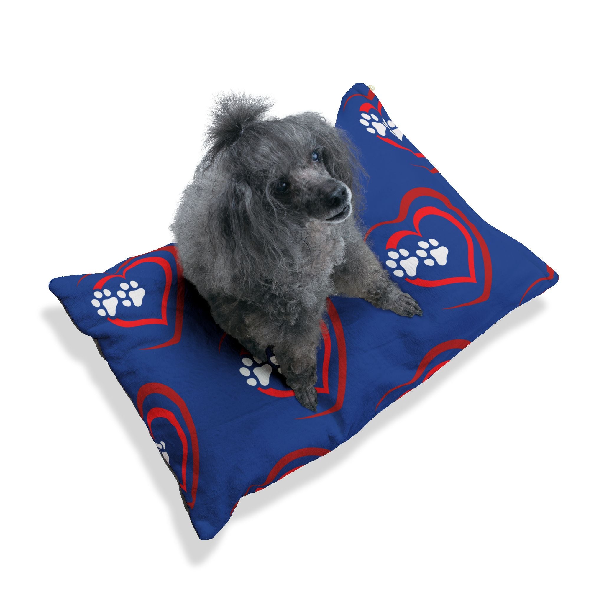 Dog sitting on a blue pet bed with heart and paw designs